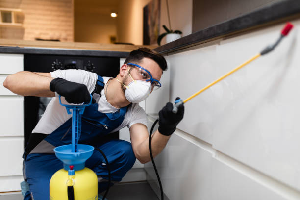 Best Affordable Pest Control Services  in Wauregan, CT