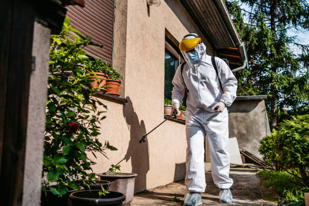 Best Pest Control Near Me  in Wauregan, CT