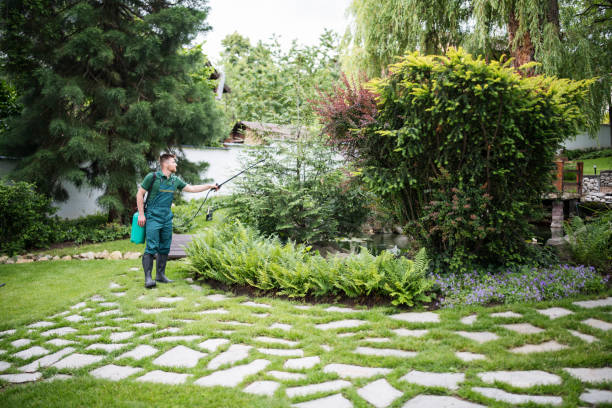 Best Pest Control for Restaurants  in Wauregan, CT