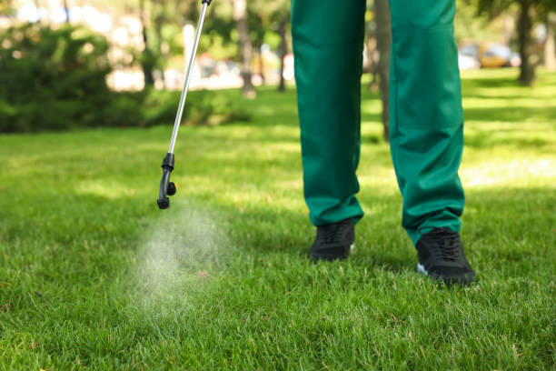Best Pest Control for Businesses  in Wauregan, CT