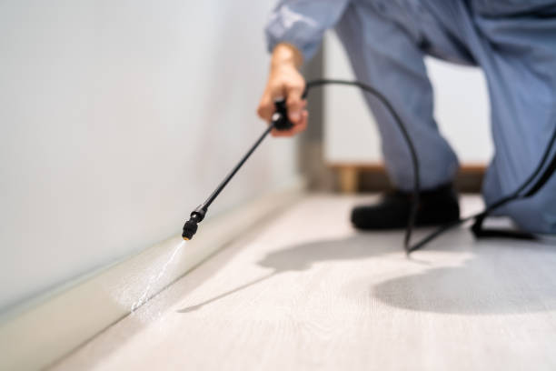 Best Residential Pest Control  in Wauregan, CT