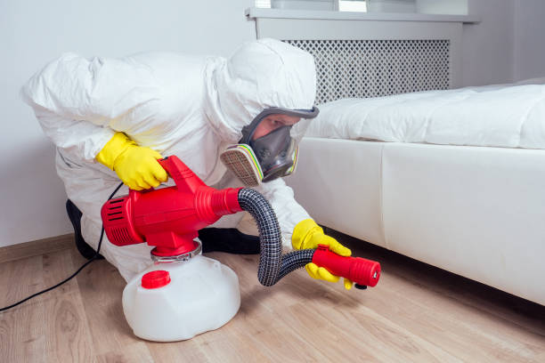Best Emergency Pest Control  in Wauregan, CT