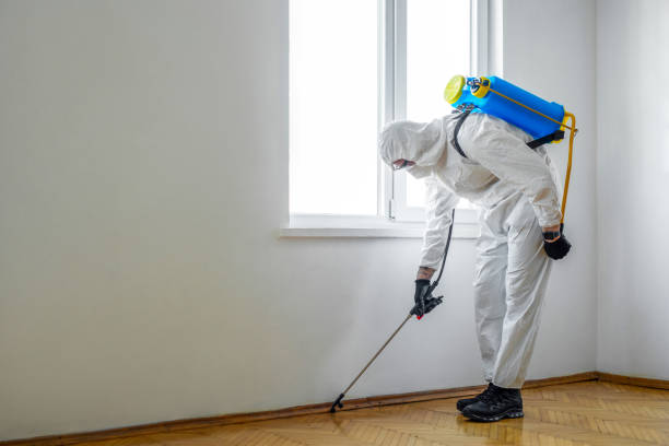 Best Insect Control  in Wauregan, CT