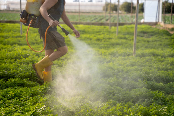 Pest Control for Restaurants in Wauregan, CT