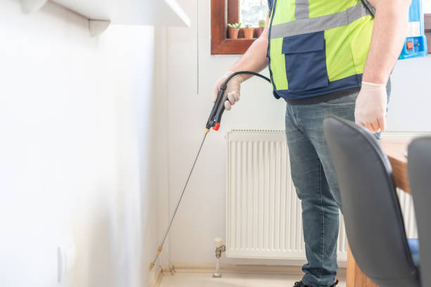 Best Flea Control Services  in Wauregan, CT