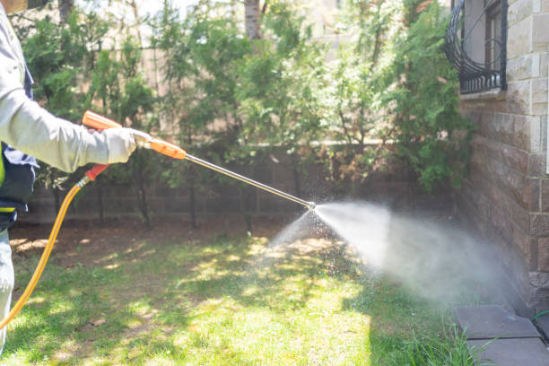 Best Rat Extermination Near Me  in Wauregan, CT