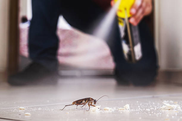 Wildlife Control Services in Wauregan, CT