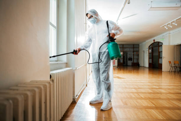 Best Affordable Pest Control Services  in Wauregan, CT