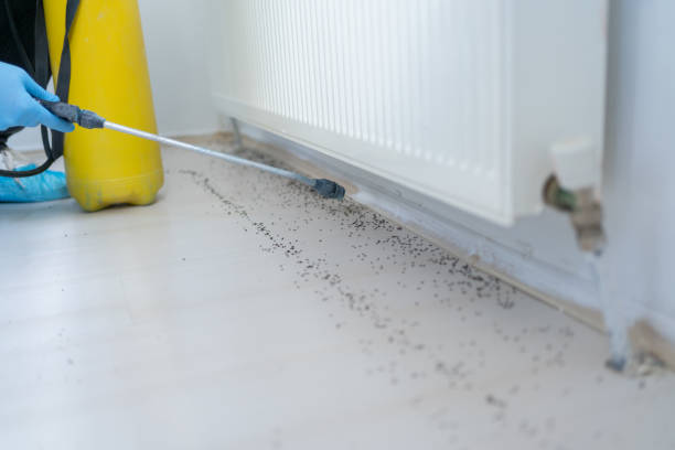 Wauregan, CT Pest Control Company