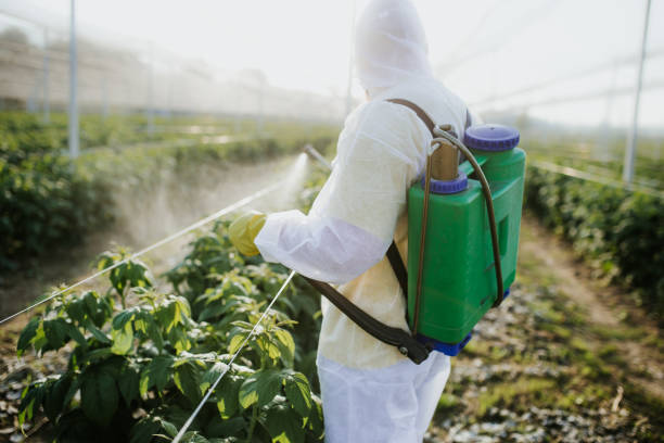 Best Bed Bug Extermination  in Wauregan, CT